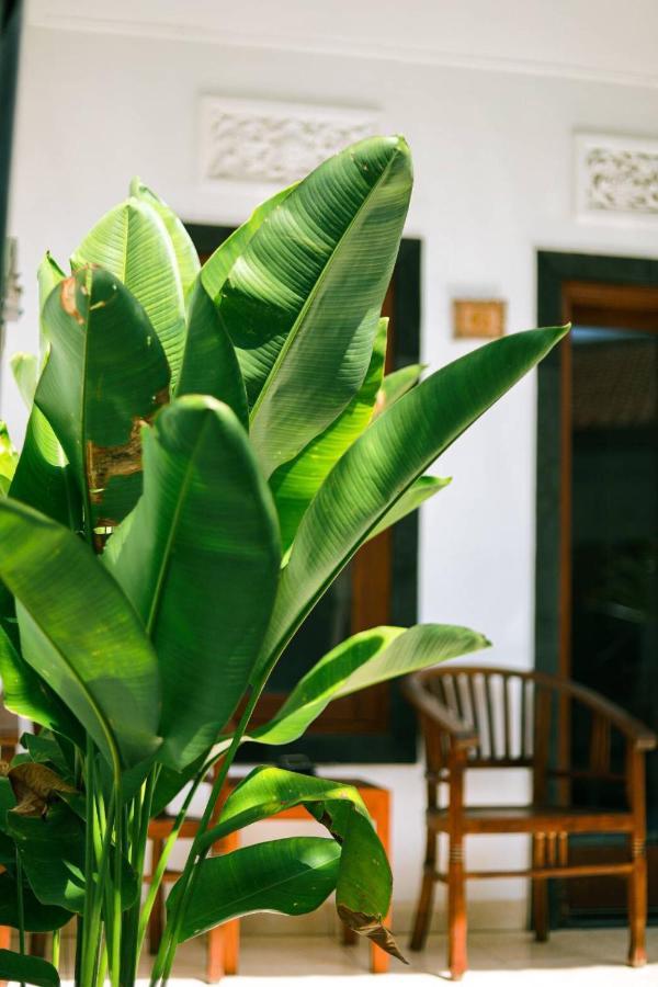 Adi Guest House Чангу Экстерьер фото